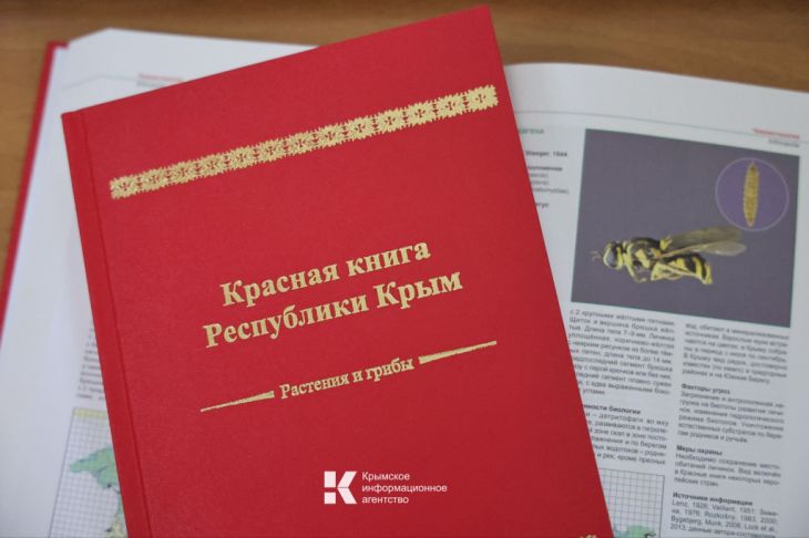 Фото: Михаил Гладчук